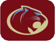 海外成人免费APP应用